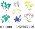 Autumn's Seven Flowers Painted with a Brush - Brocade Set 142403116