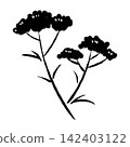 Autumn's Seven Flowers Painted with a Brush: Patrinia (Ominaeshi) - Ink 142403122