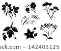 Autumn's Seven Flowers Painted with a Brush - Ink Set 142403125