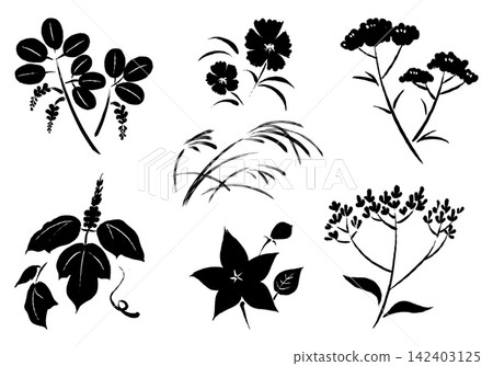 Autumn's Seven Flowers Painted with a Brush - Ink Set 142403125