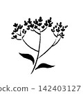 Autumn's Seven Flowers Painted with Brush: Eupatorium fortunei (Fujibakama) - Ink 142403127