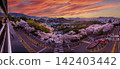 Sunset over city with pink cherry blossom trees and buildings 142403442