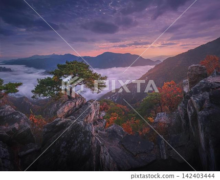 Sunset over mountains with trees and colorful sky Sunset over mountains with trees and colorful sky 142403444