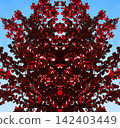 Symmetrical pattern of red and black leaves on a blue sky background 142403449