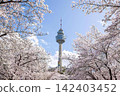 Tall tower amidst snow-covered trees in winter scene 142403452