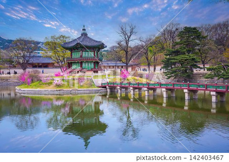 Traditional asian pagoda with garden and pond scenery Traditional asian pagoda with garden and pond scenery 142403467