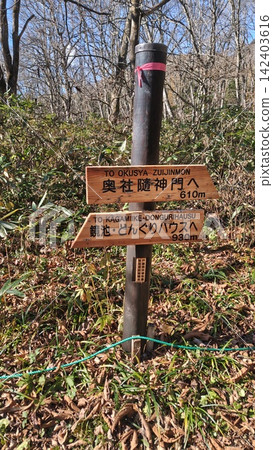 戶隱神社徒步旅行 戶隱神社徒步旅行 142403616