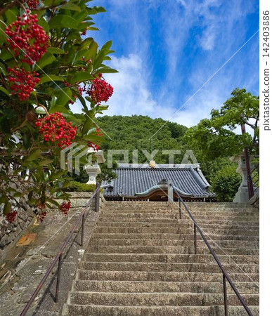 夏日天空與山巒寺廟 142403886