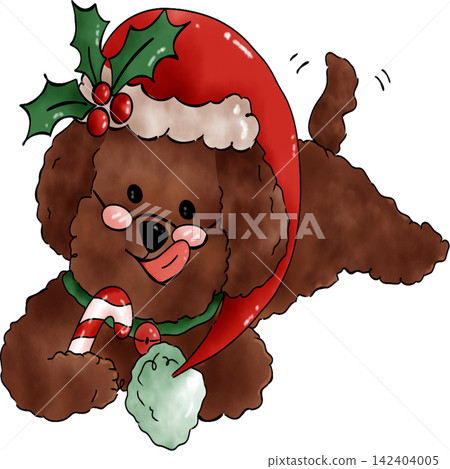 Poodle dog Xmas Poodle dog Xmas 142404005
