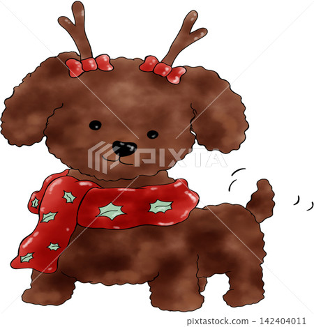 Poodle dog Xmas Poodle dog Xmas 142404011