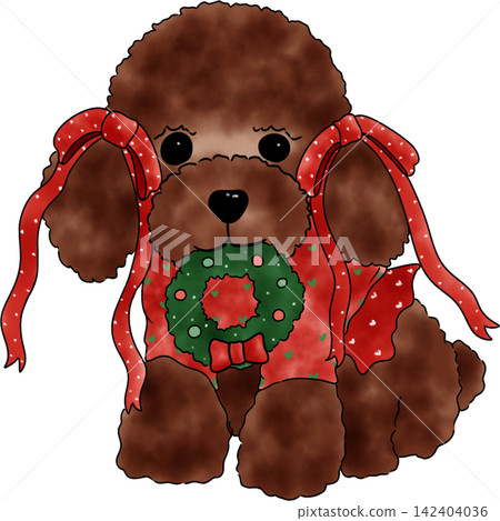 Poodle dog Xmas Poodle dog Xmas 142404036