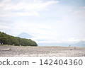 The majestic Mount Fuji and coastal scenery visible beyond the sandy beach and pine forest - Miho no Matsubara 142404360