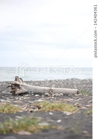Driftwood washed ashore on the beach and the calm sea. Driftwood washed ashore on the beach and the calm sea. 142404361