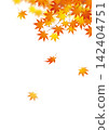 Autumn imagery: Autumn leaves 16 142404751