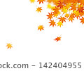 Autumn imagery: 17 autumn leaves 142404955