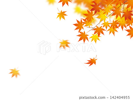 Autumn imagery: 17 autumn leaves Autumn imagery: 17 autumn leaves 142404955