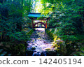 一座朱紅色的橋樑橫跨鬱鬱蔥蔥的森林。 142405194