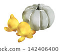 Pumpkin and fruit 142406400