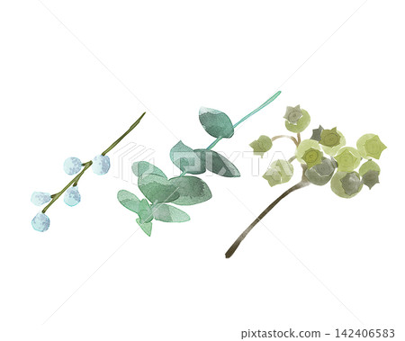 branch branch 142406583