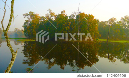 reflection of the trees in the forest reflection of the trees in the forest 142406606