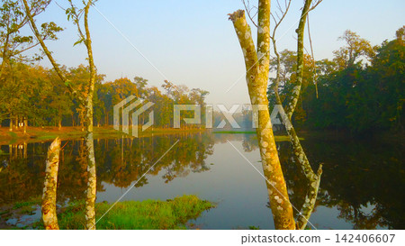 reflection of the trees in the autumn forest reflection of the trees in the autumn forest 142406607