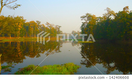reflection of trees in the lake reflection of trees in the lake 142406608