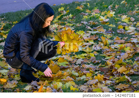 Cute young woman is collecting colored bouquet of autumn leaves Cute young woman is collecting colored bouquet of autumn leaves 142407181