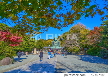 Autumn in Kamakura City, Kanagawa Prefecture: The Great Buddha of Kamakura and tourists Autumn in Kamakura City, Kanagawa Prefecture: The Great Buddha of Kamakura and tourists 142407488