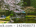 A spring scene of a gazebo by a pond and gracefully swimming koi carp, seen through cherry blossoms in full bloom. March 2024. 142408073