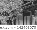A monochrome depiction of pine needles and the serene atmosphere of a traditional tea room. March 2024. 142408075