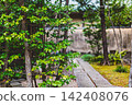 Lush stepping stones and a tranquil stone-paved path leading to the earthen wall of the sacred pond garden. March 2024. 142408076