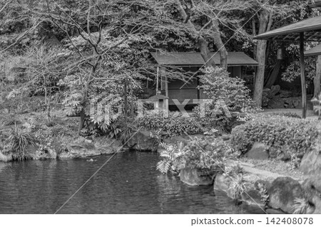 2024年3月,一幅充滿詩意的畫面定格在神池庭園中,一座涼亭和石燈籠矗立於此,黑白光影交錯,美不勝收。 2024年3月,一幅充滿詩意的畫面定格在神池庭園中,一座涼亭和石燈籠矗立於此,黑白光影交錯,美不勝收。 142408078
