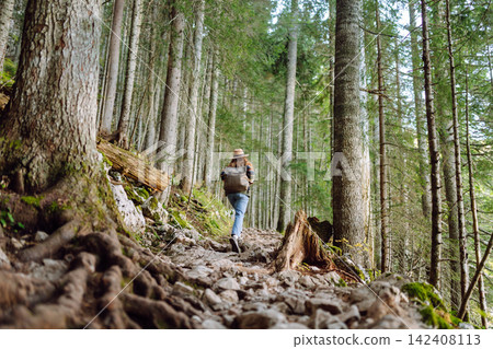 Woman with backpack hiking outdoors in the Forest. Trekking in the Pine Woods. Hiking lifestyle Woman with backpack hiking outdoors in the Forest. Trekking in the Pine Woods. Hiking lifestyle 142408113