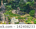 The beautiful form of the artificial hill and powerful garden stones in the Shinchi Garden, surrounded by lush green trees. March 2024. 142408233