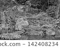 The imposing shadows cast by the stone arrangements and artificial hills of the Shinchi Garden stand out in monochrome. March 2024. 142408234