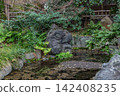 A corner of the sacred pond, adorned with unique landscape stones and lush ferns by the water's edge. March 2024. 142408235