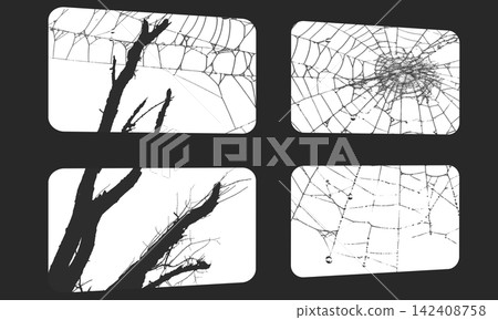 Halloween tree branch window shadow overlay with spider web and dew drops, spooky natural light effect on transparent background Halloween tree branch window shadow overlay with spider web and dew drops, spooky natural light effect on transparent background 142408758