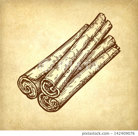 Cinnamon sticks. Ink sketch of spice. Cinnamon sticks. Ink sketch of spice. 142409076