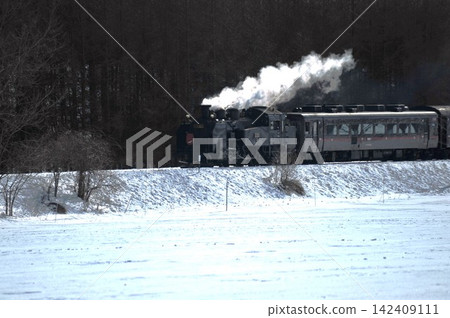 SL 冬季沼澤列車冒著滾滾白煙,駛過北海道茅沼的雪原。 SL 冬季沼澤列車冒著滾滾白煙,駛過北海道茅沼的雪原。 142409111