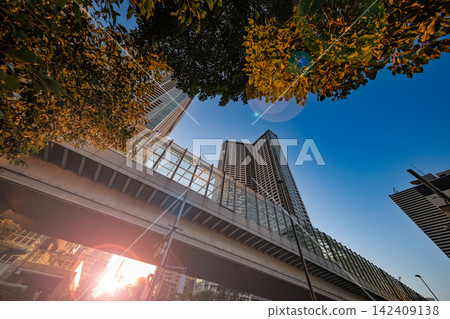 高聳入雲的公寓大樓和城市景觀直插藍天。 高聳入雲的公寓大樓和城市景觀直插藍天。 142409138