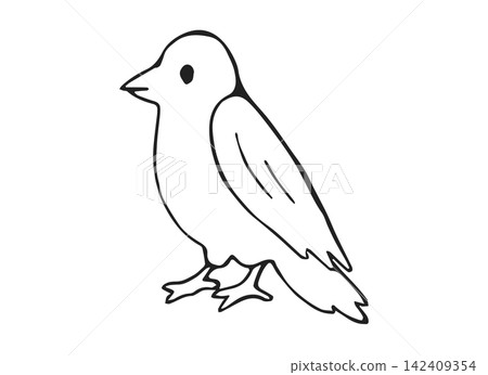 Hand Drawn Crow Bird Standing Side View Line Art Doodle Illustration for Nature and Halloween Design Hand Drawn Crow Bird Standing Side View Line Art Doodle Illustration for Nature and Halloween Design 142409354