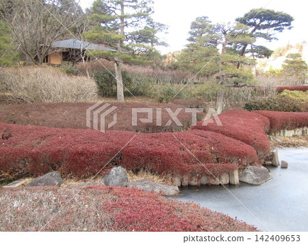 福島縣白川站附近的花園 福島縣白川站附近的花園 142409653