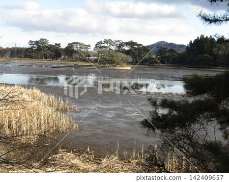 South Lake near Shirakawa Station, Fukushima Prefecture South Lake near Shirakawa Station, Fukushima Prefecture 142409657