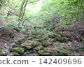 Mt. Mt. Rock Garden 142409696