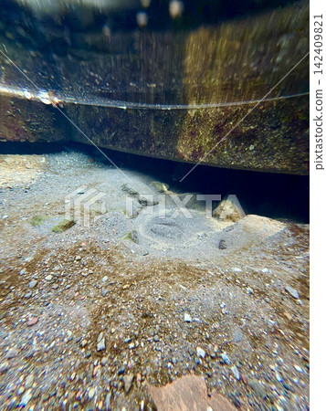 靜岡縣清水町的柿田川泉,是富士山地下水湧出的地方,形成了清澈的溪流和沿岸鬱鬱蔥蔥的綠色植物構成的自然景觀。 靜岡縣清水町的柿田川泉,是富士山地下水湧出的地方,形成了清澈的溪流和沿岸鬱鬱蔥蔥的綠色植物構成的自然景觀。 142409821