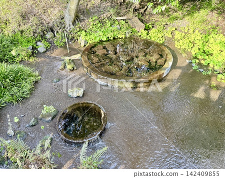 靜岡縣清水町的柿田川泉,是富士山地下水湧出的地方,形成了清澈的溪流和沿岸鬱鬱蔥蔥的綠色植物構成的自然景觀。 靜岡縣清水町的柿田川泉,是富士山地下水湧出的地方,形成了清澈的溪流和沿岸鬱鬱蔥蔥的綠色植物構成的自然景觀。 142409855