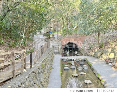 靜岡縣清水町的柿田川泉,是富士山地下水湧出的地方,形成了清澈的溪流和沿岸鬱鬱蔥蔥的綠色植物構成的自然景觀。 靜岡縣清水町的柿田川泉,是富士山地下水湧出的地方,形成了清澈的溪流和沿岸鬱鬱蔥蔥的綠色植物構成的自然景觀。 142409858