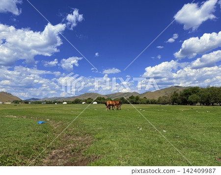 The landscape of vast grasslands and mountains stretching out on the outskirts of Ulaanbaatar, Mongolia. The landscape of vast grasslands and mountains stretching out on the outskirts of Ulaanbaatar, Mongolia. 142409987