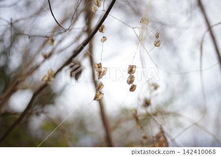 山藥花良 山藥花良 142410068