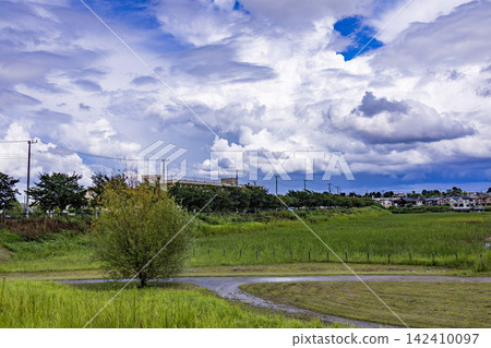 國武川防洪庫綠地的鬱鬱蔥蔥草地和藍天上飄散的雲朵。 國武川防洪庫綠地的鬱鬱蔥蔥草地和藍天上飄散的雲朵。 142410097